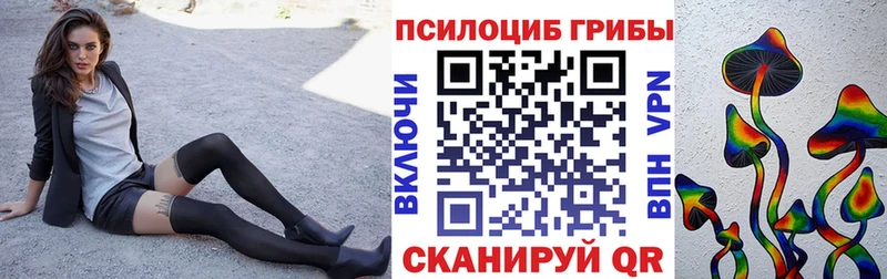 Галлюциногенные грибы Magic Shrooms Гвардейск